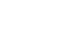 Aamir Rahmani